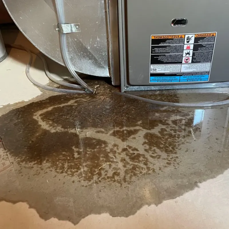 Pipe Burst and Leak Restoration in Fairmount, TN